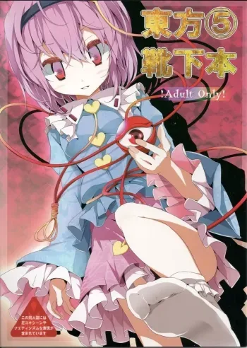 Touhou Socks Book 5 manga cover