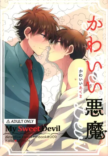 Kawaii Akuma | My Sweet Devil manga cover
