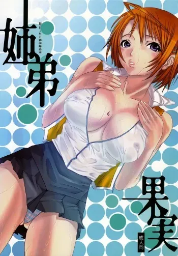 (C68) [Chika Sekai (Palco Nagashima)] Kyoudai Kajitsu (Mai-HiME) manga cover