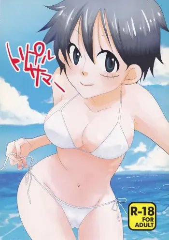 (C78) [Try Muscle (Arikawa Akira)] Triple Summer (One Piece) [English] {Hennojin} manga cover