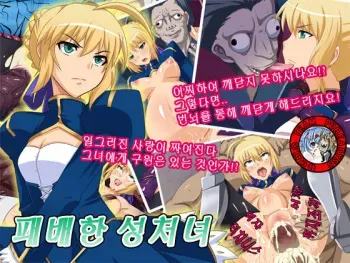 [Junkin] Haiboku no Seishojo (Fate Zero) (korean) manga cover