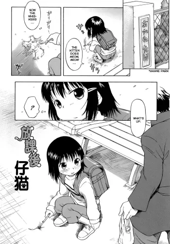 After School Kitten manga cover