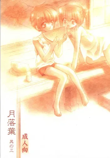 (C62) [Carnelian] Tsuki Rakuyou Sono San (Kao no nai Tsuki [Moonlight Lady]) manga cover