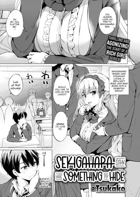 Sekigahara-san Has Something to Hide manga cover