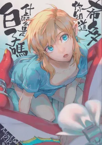Sidon, do you know what is a Shirako? manga cover