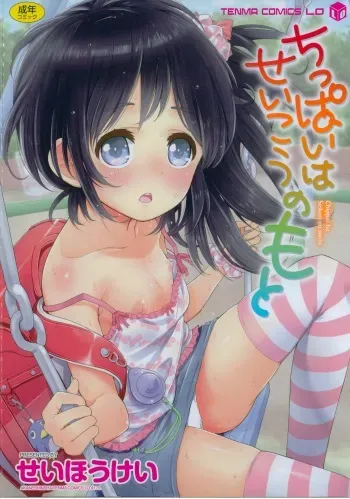 [Seihoukei] Chippai ha Seikou no Moto | A Flat Chest is the Key for Success [English] [Rin] manga cover