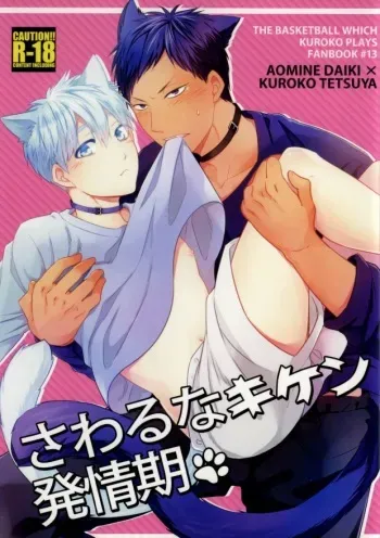 (HaruCC19) [Iro Rabbit (Arima)] Sawaru na Kiken Hatsujouki (Kuroko no Basuke) manga cover
