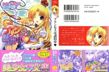 [Mikazuki Kougetsu, Ariko Youichi] Princess wa Yuukaichuu manga cover
