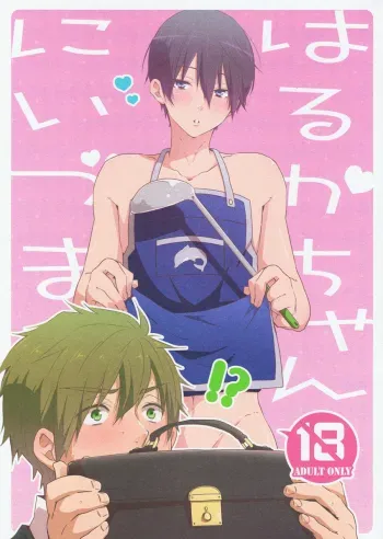 Niizuma Harukachan manga cover