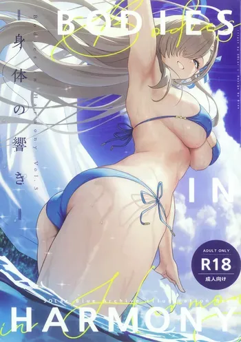 (C104) [SOLar] Bodies in Harmony VOL3 (Blue Archive) manga cover