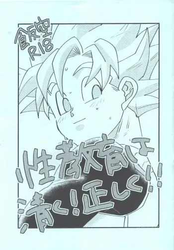 [terabaito (Ai)] Seikyouiku wa kiyoku! masashiku!! (Dragonball Z) manga cover