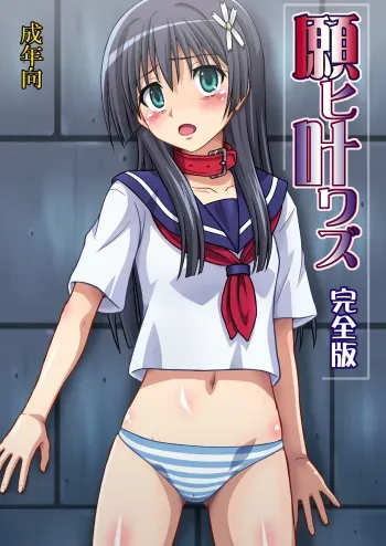 [Chi-Ra-Rhyzhm (Hidaka Toworu)] Negai Kanawazu Kanzenban (Toaru Kagaku no Railgun) [Digital] manga cover