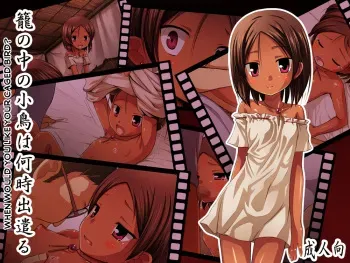 [Noraneko-no-Tama (Yukino Minato)] Kago no Naka no Kotori wa Itsu Deyaru Sousaishikiban | When Would You Like Your Caged Bird? [English] =SNP= [Digital] manga cover