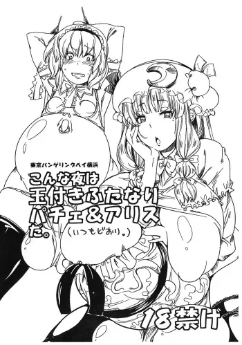 (Futaket 5) [Tokyo Bungeling Bay Yokohama (Kurori, Ayachi)] Konna Yoru wa Tamatsuki Futanari Patche & Alice da. (Itsumo Doori.) (Touhou Project) manga cover