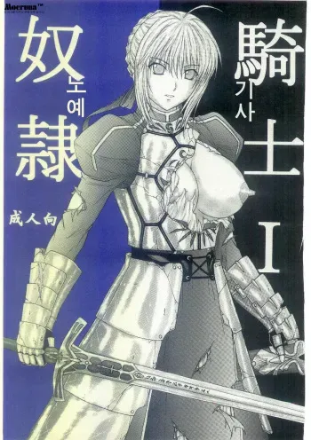 (C69) [Kusari (Aoi Mikku)] Dorei Kishi I (Fate/stay night) [Korean] manga cover