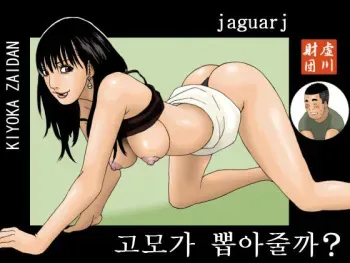 [Kiyokawa Zaidan (Kiyokawa Nijiko)] Oba-chan ga Nuitageyou ka? | 고모가 뽑아줄까? [Korean] [jaguarj] manga cover