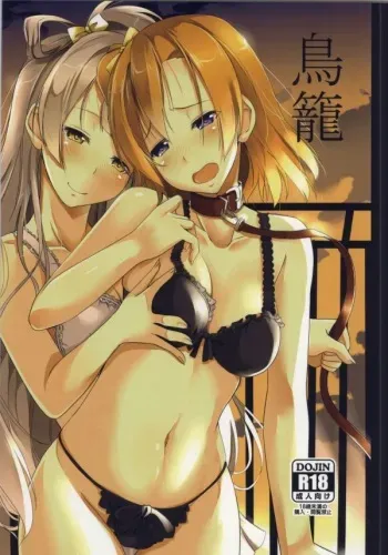 (Anata to Love Live! 4) [obsession! (Hyouga.)] Torikago (Love Live!) manga cover