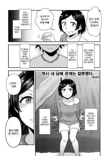 (C90) [Hamehame Service Area (Isaki)] Yahari Ore no Kyoudaikankei wa Machigatteiru. (Hikigaya Hachiman R-18 Anthology) (Yahari Ore no Seishun Love Come wa Machigatteiru.) [Korean] manga cover