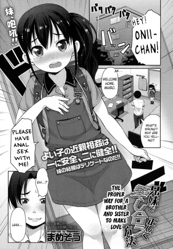 The Proper Way for a Brother and Sister to Make Love manga cover