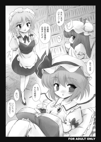 (SC40) [54BURGER (Marugoshi)] Ojou-sama Ofuro no Junbi ga Dekimashita yo (Touhou Project) manga cover