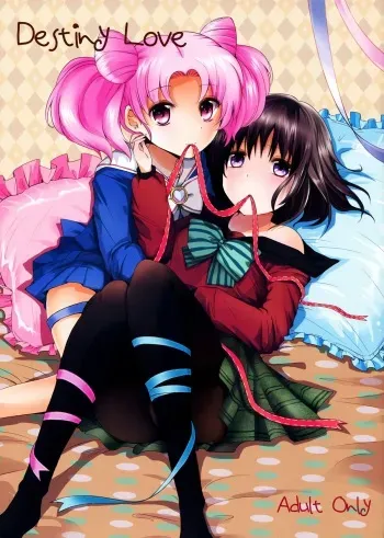 (C83) [momoirohoppe (Rei)] Destiny Love (Bishoujo Senshi Sailor Moon) [English] [Yuri-ism & Life4Kaoru] manga cover