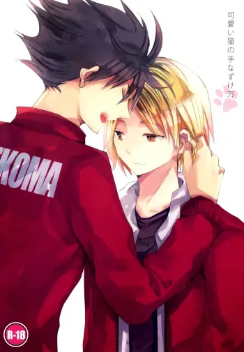Kawaii Neko no Tenazukekata | How to Tame a Cute Cat manga cover