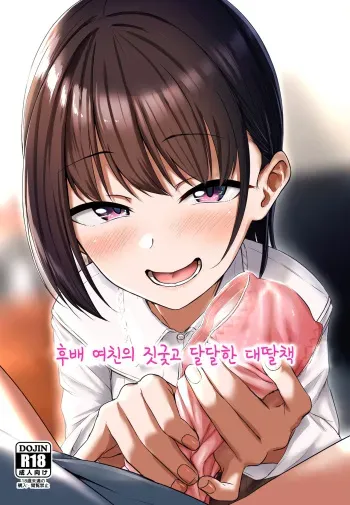 (C97) [Aoi Dennou (Aoi Tiduru)] Kouhai Kanojo no Ijiwaru de Amaama na Tekoki Hon | 후배 여친의 짓궂고 달달한 대딸책 [Korean] manga cover