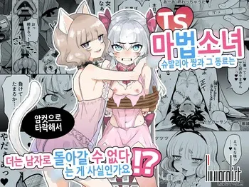 [I'm moralist (Yanagihara Mitsuki, InuSamrai, Kanimura Ebio)] TS Mahou Shoujo Chevalier-chan to Sono Nakama wa Mesu ni Otosarete Mou Otoko ni Modorenai tte Maji desu ka!? | TS 마법소녀 슈발리아 짱과 그 동료는 암컷으로 타락해서 더는 남자로 돌아갈 수 없는 게 사실인가요!? [Korean] [Digital] manga cover