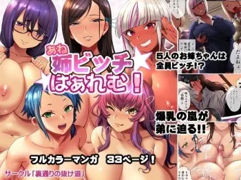 Ane Bitch Harem! manga cover