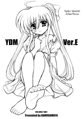 (Nanoha Party 3) [Kamogawaya (Kamogawa Tanuki)] YDM Ver.E (Mahou Shoujo Lyrical Nanoha) [Russian] [Witcher000] manga cover