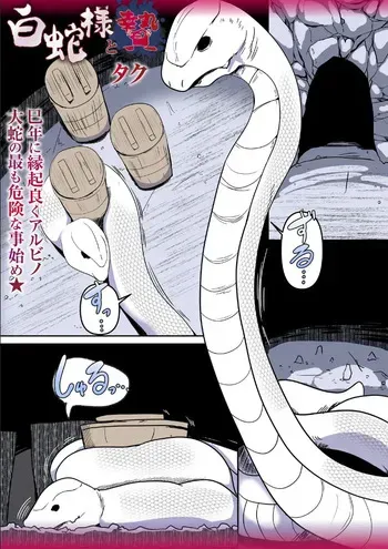 (Taku) Shirohebi-sama to ni e (COMIC Necrosis Vol. 28) manga cover