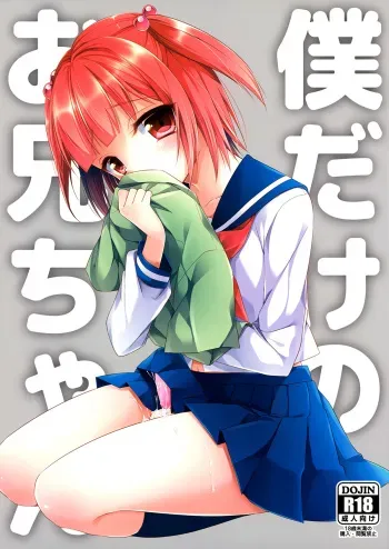 (C86) [R*kaffy (Aichi Shiho)] Boku dake no Oniichan [Spanish] {Fanboo} manga cover