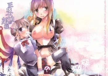 (C77) [pinktips.info (kazuha)] Shoutai Fumei no Otouto-sama (Touhou Project) manga cover