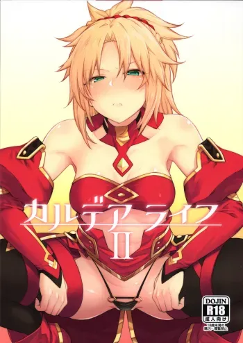 Chaldea Life II manga cover