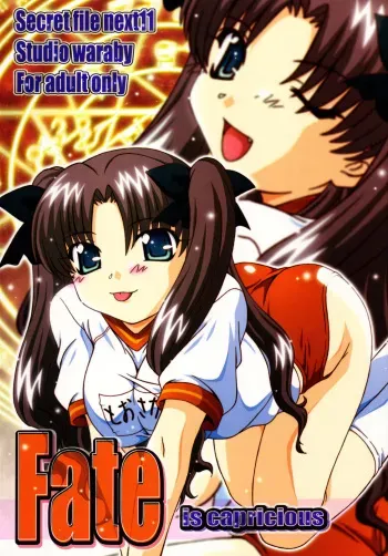 (C67) [Studio Wallaby (Takana Yu-ki)] SECRET FILE NEXT 11 - Fate is capricious (Fate/stay night) manga cover