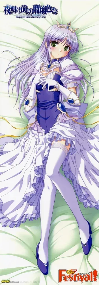 dakimakura collection from yande.re (part 1) manga cover