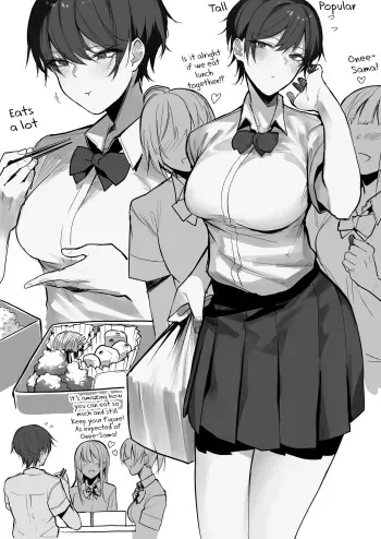 Boyish Succubus Onee-san manga cover