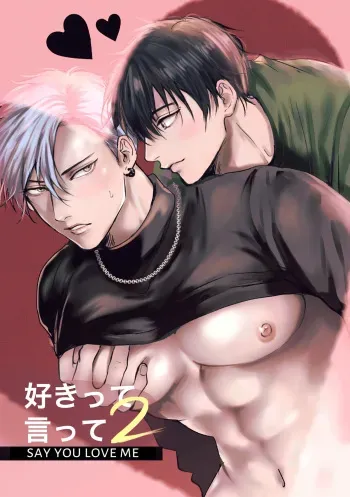 Say You Love Me 2 manga cover