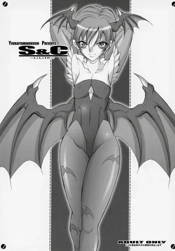 (SC31) [Youkai Tamanokoshi (CHIRO)] S&C -LiLith- (Darkstalkers, Street Fighter) manga cover