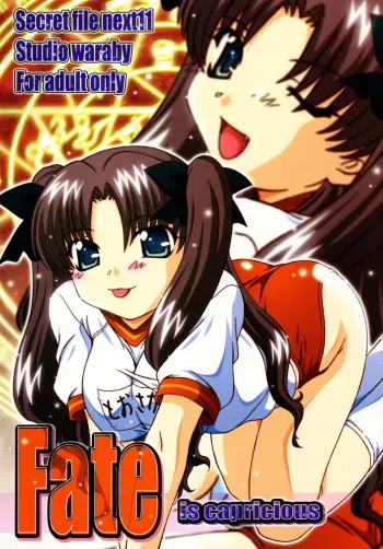 SECRET FILE NEXT 11 - Fate is capricious manga cover