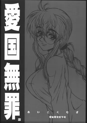 (CR37) [Dennou Denpa Hatsureisho (Harukaze Koucha)] Aikoku Muzai Kai (Various) manga cover