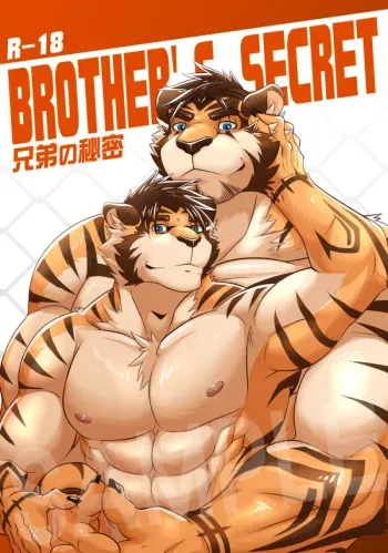 Brother’s Secret manga cover