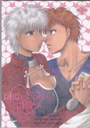 (C86) [Dawn (Various)] Kawaiku Nakute mo Kawaii Hito (Fate/stay night) manga cover