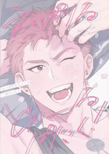 (BURST OUT 4) [Platinum (Mujimorris)] April Dofool panic! (Slam Dunk) manga cover