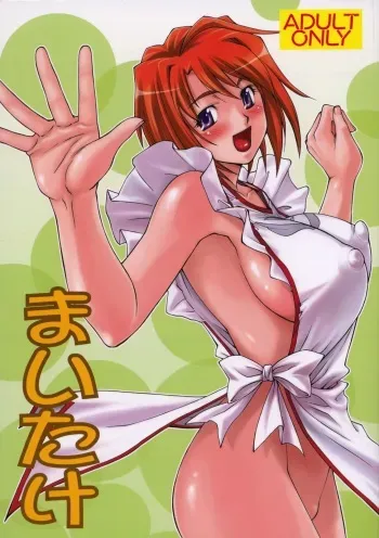 (C73)[Leaf Party (Nagare Ippon)] LeLe Pappa Vol.12 Maitake (Mai-Hime) manga cover
