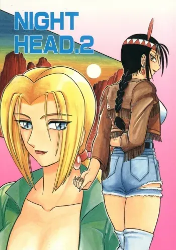 (C48) [Circle Taihei-Tengoku (Aratamaru)] NIGHT HEAD 2 (Darkstalkers, Tekken) manga cover