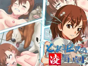 [Junkin] Toaru Biribiri no Ryoujoku Geki (Toaru Kagaku no Railgun) manga cover