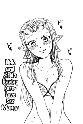 Link to Zelda ga Jun Ai Ecchi suru Manga manga cover