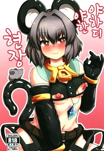 [Cheese Company (Peso)] Ecchi na Ecchi na Kenshou | 야하디 야한 현장 (Touhou Project) [Korean] [Digital] manga cover
