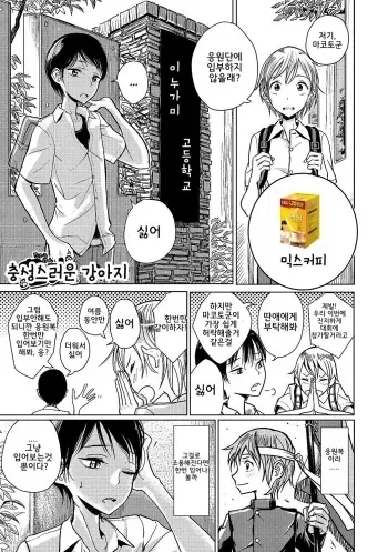 [Dhibi] Chuuken | 충성스러운 강아지 (Otokonoko HEAVEN Vol. 36) [Korean] [Digital] manga cover